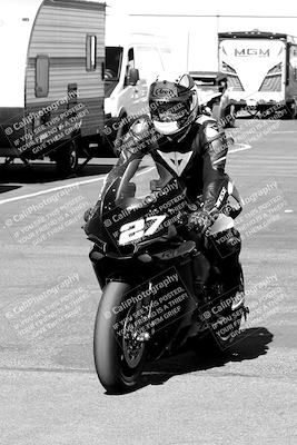 media/Mar-12-2022-SoCal Trackdays (Sat) [[152081554b]]/Around the Pits/